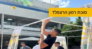 סטכת הרצפלד רמון