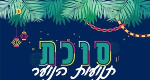סוכת תנועות הנוער