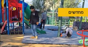 מחדשים את גן סטרומה