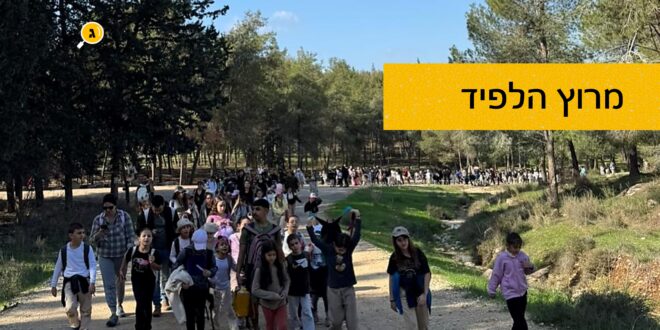מרוץ הלפיד