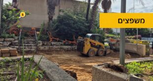 משפצים את החצר