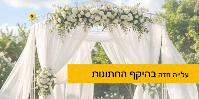עלייה חדה בחתונות