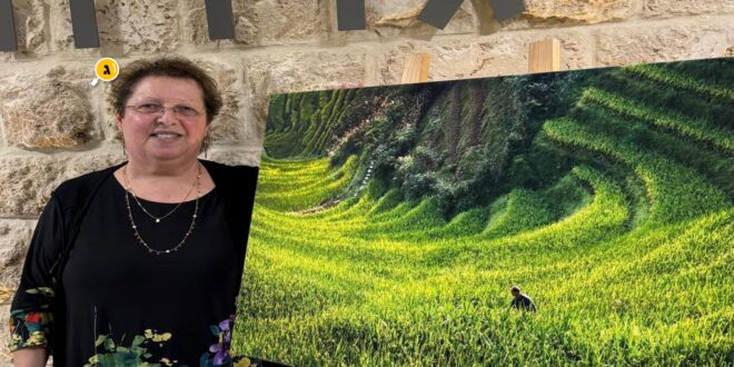 ריקי נחתומי
