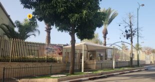 צל הורים בבית הספר גוונים