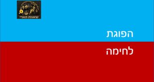 הפוגת לחימה