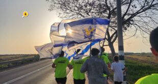 רצים ENERGY בשקיעה