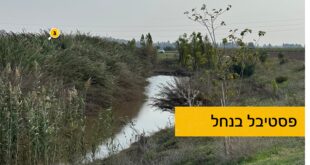 פסטיבל בנחל