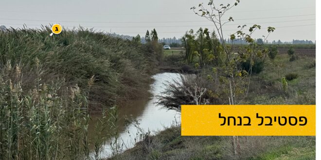 פסטיבל בנחל