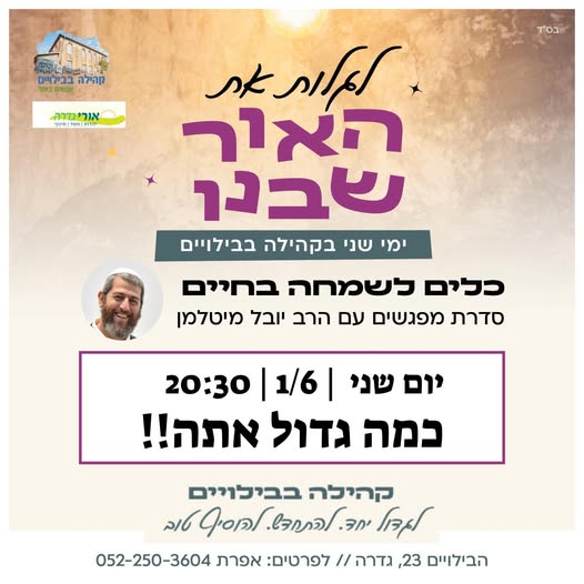 האור שבנו 