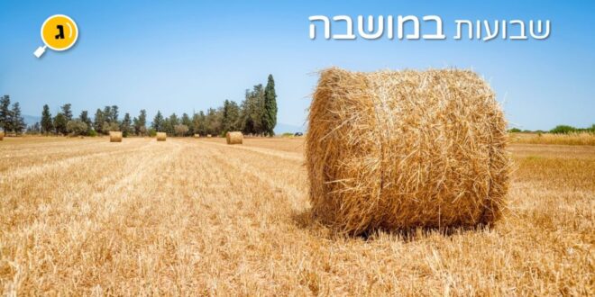 שבועות במושבה
