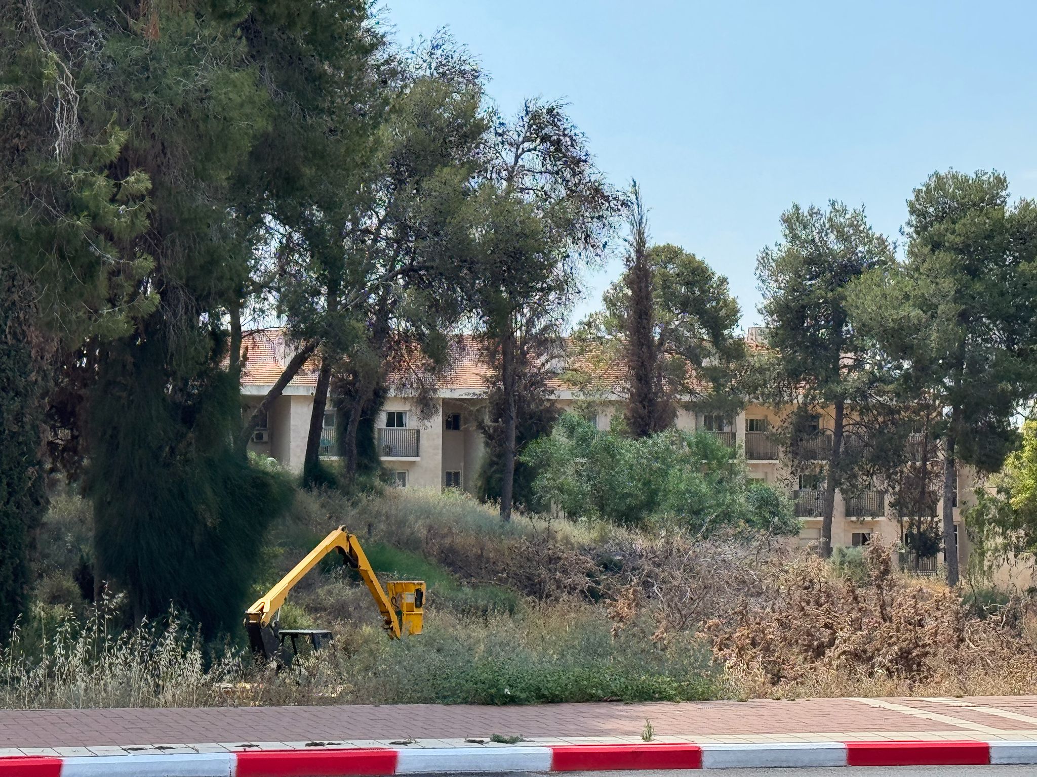תחזוקת השכונה