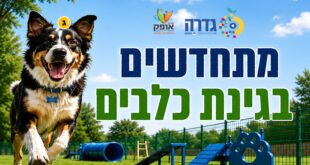 גינת הכלבים