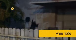 נלעד פורץ