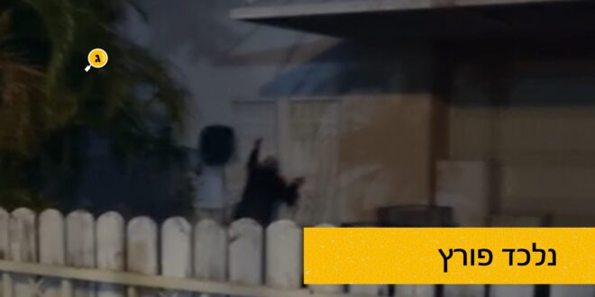 נלעד פורץ