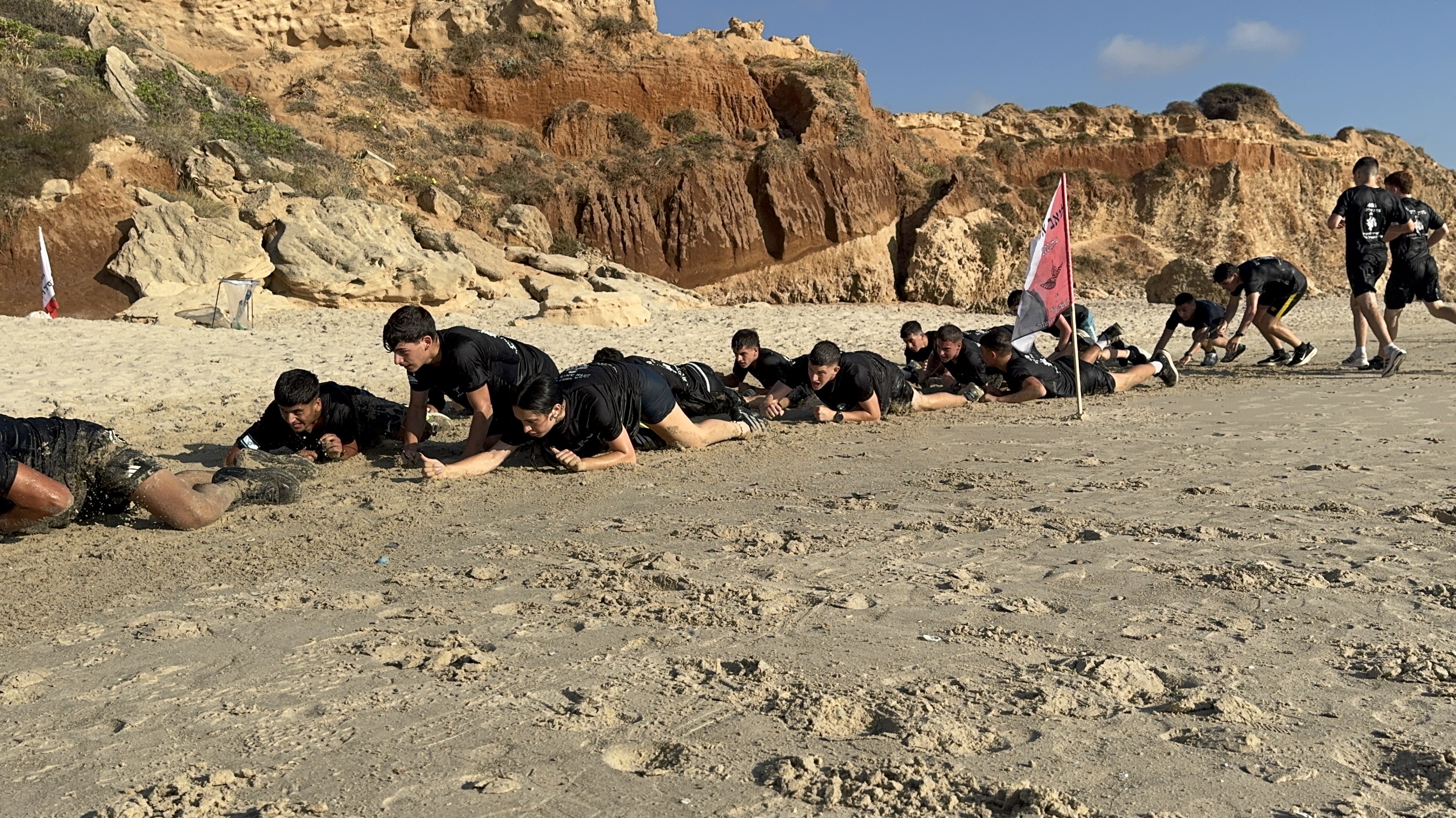 זוחלים על החוף