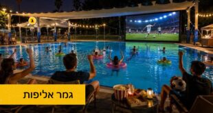 גמר אליפות