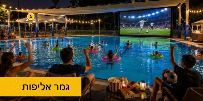 גמר אליפות