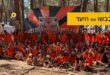 כבשו את היער