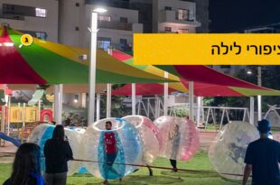 ציפורי לילה