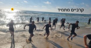 קרביים מתמיד
