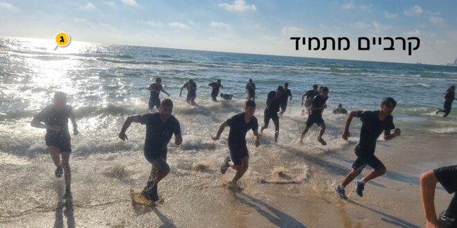 קרביים מתמיד