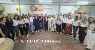 אוטוטו מתחילים מחדש