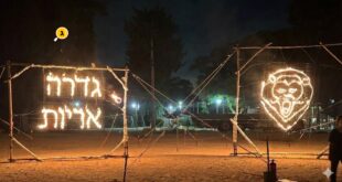 גדרה אריות