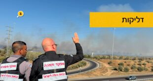 דלקות
