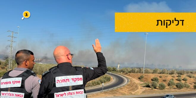 דלקות