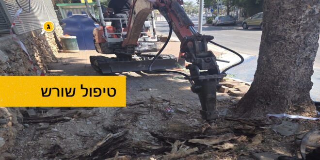 טיפול שורש