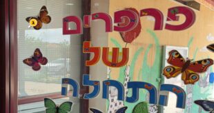 פרפרים של התחלה