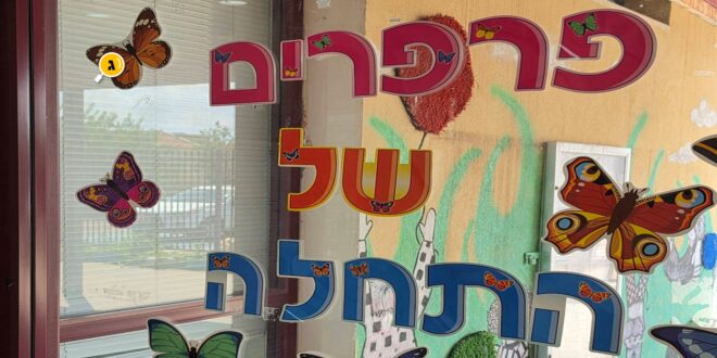 פרפרים של התחלה