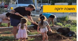מושבה ירוקה