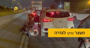 מעצר גנבים