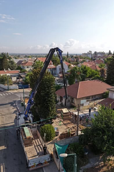 מציבים את הצריף 