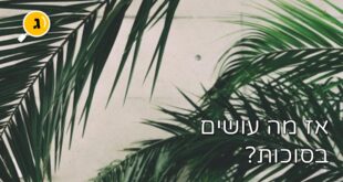 אז מה עוישים בסוכות