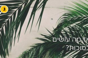 אז מה עוישים בסוכות
