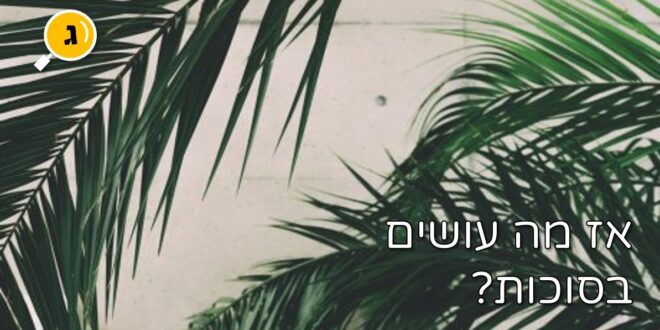 אז מה עוישים בסוכות