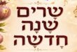 שרים שנה חדשה