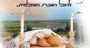 שבת השסבת העולמית